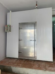 kho trữ đông cá